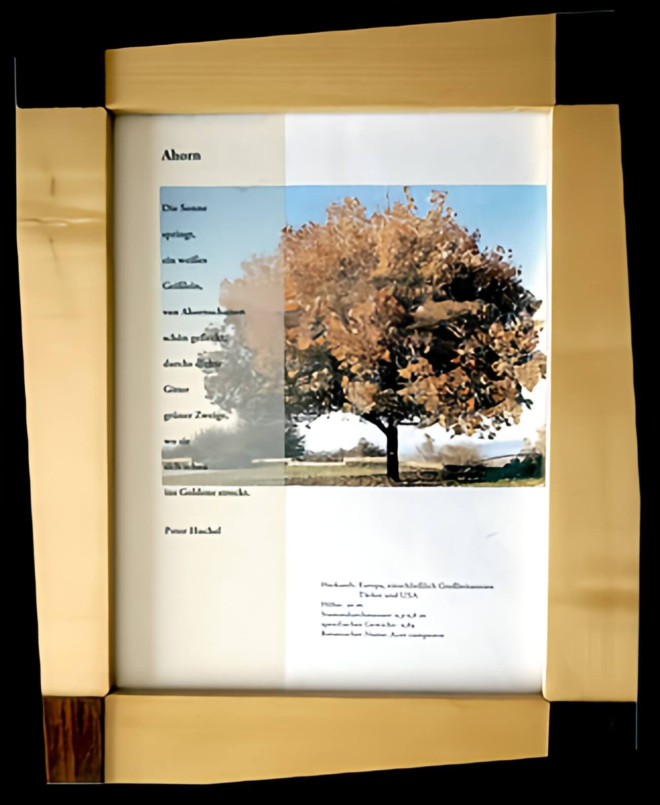 Bilderrahmen-Ahorn_Image Upscaler