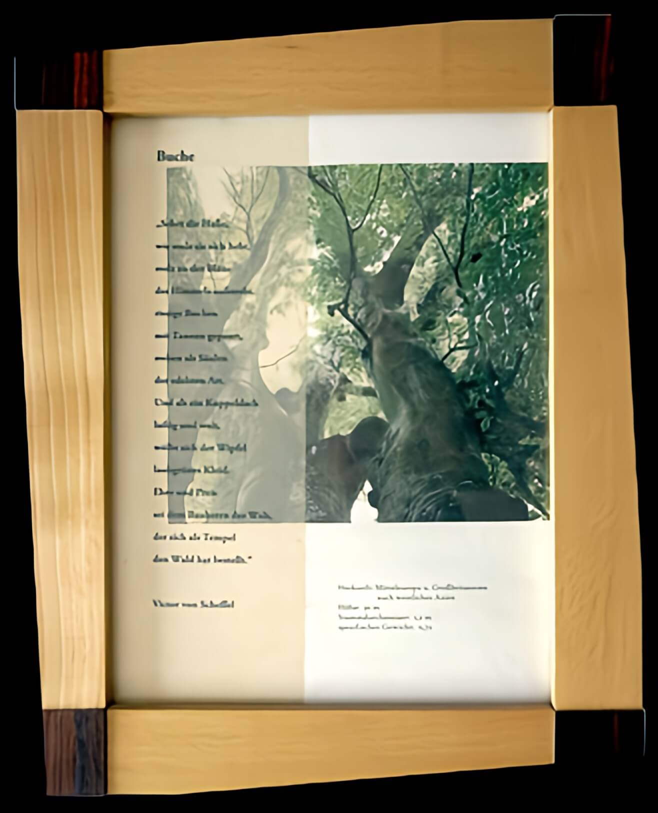 Bilderrahmen-Buche_Image Upscaler