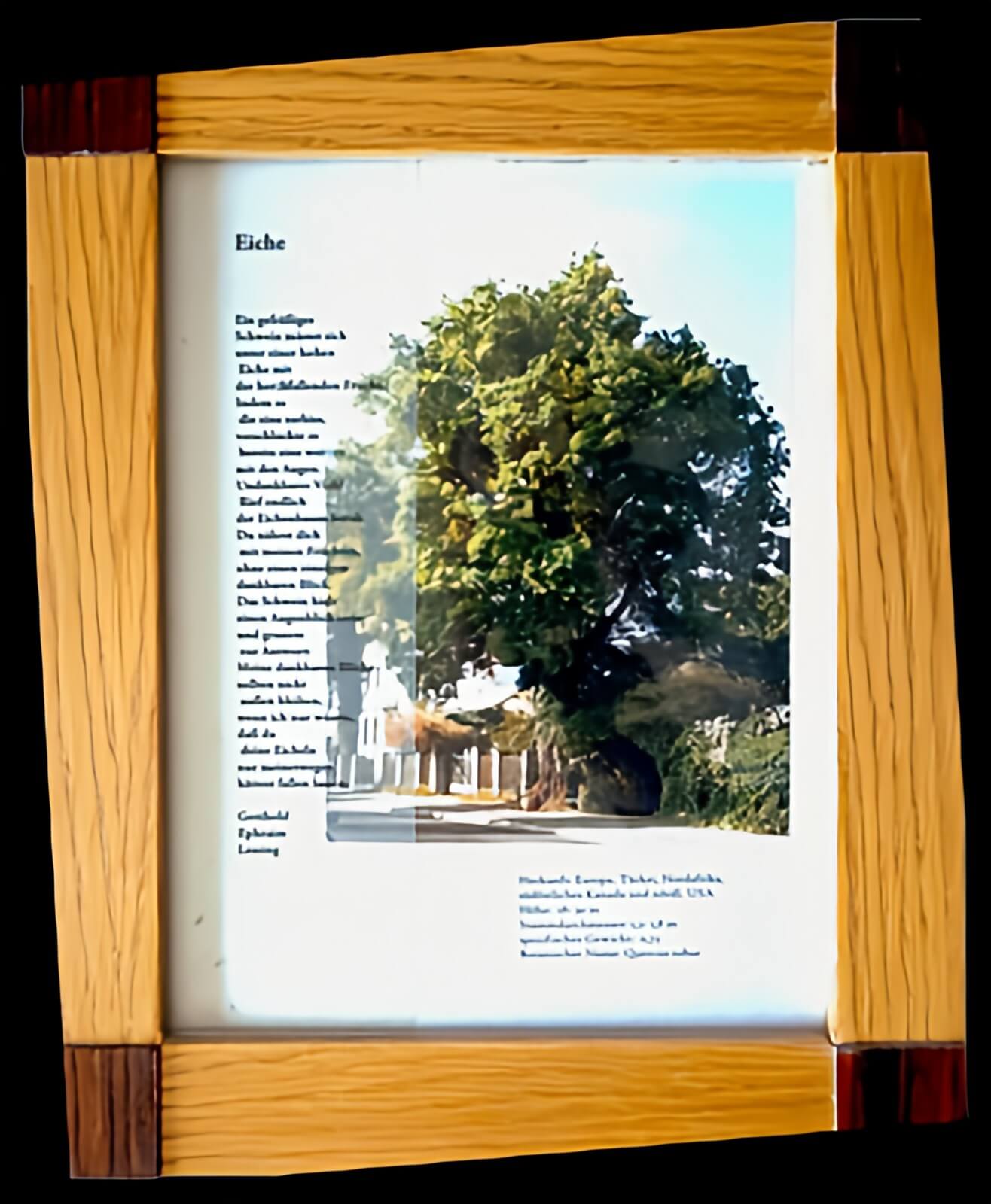 Bilderrahmen-Eiche_Image Upscaler