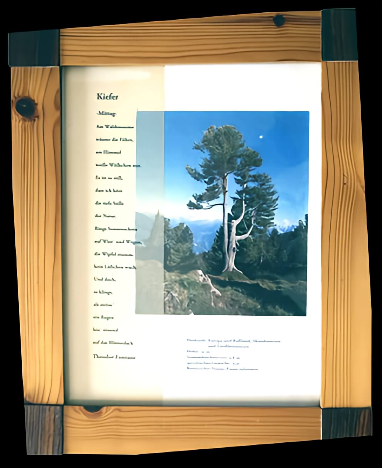 Bilderrahmen-Kiefer_Image Upscaler