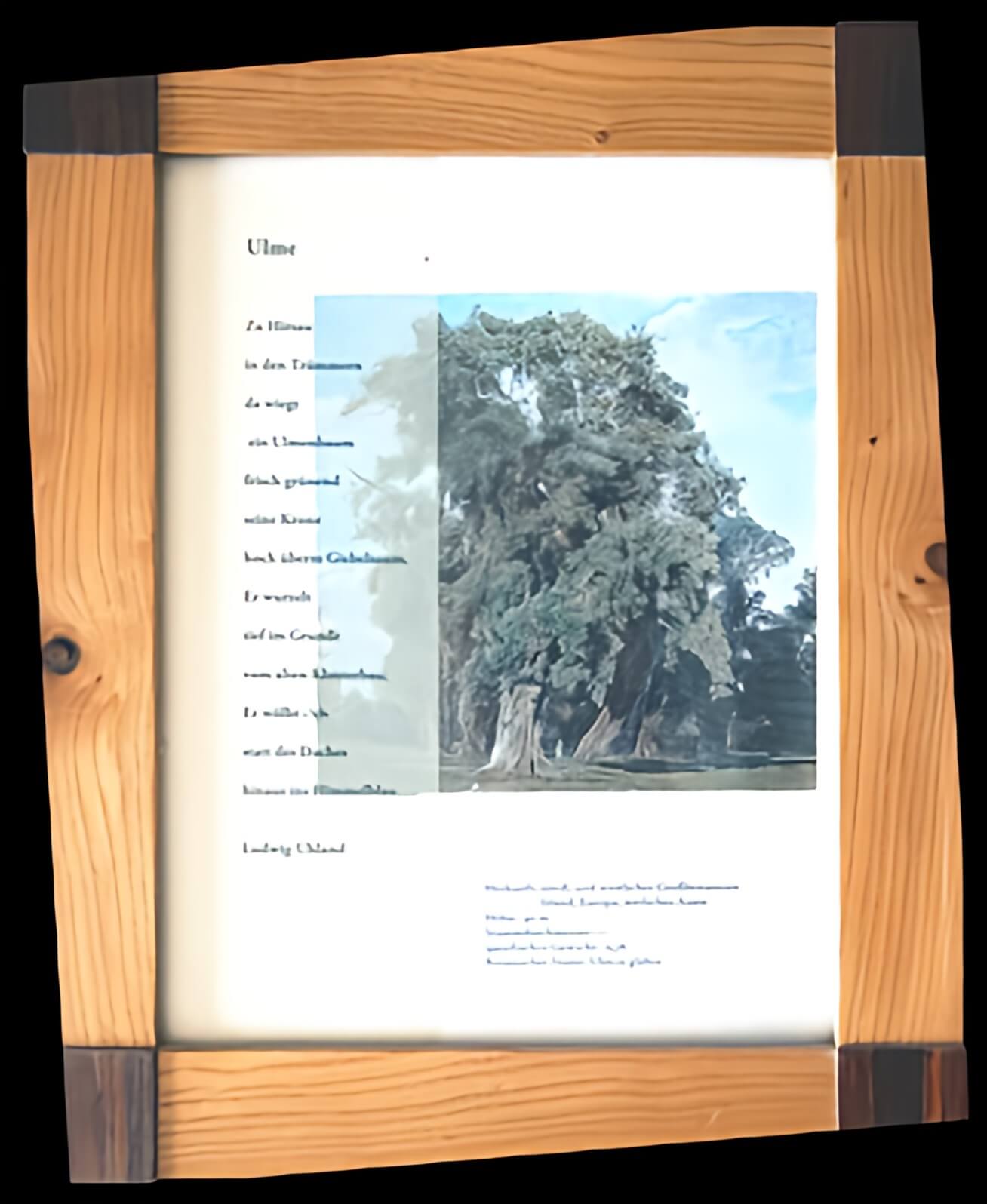Bilderrahmen-Ulme_Image Upscaler
